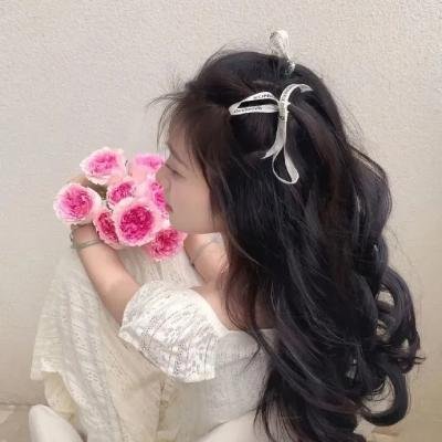 社会中坚
